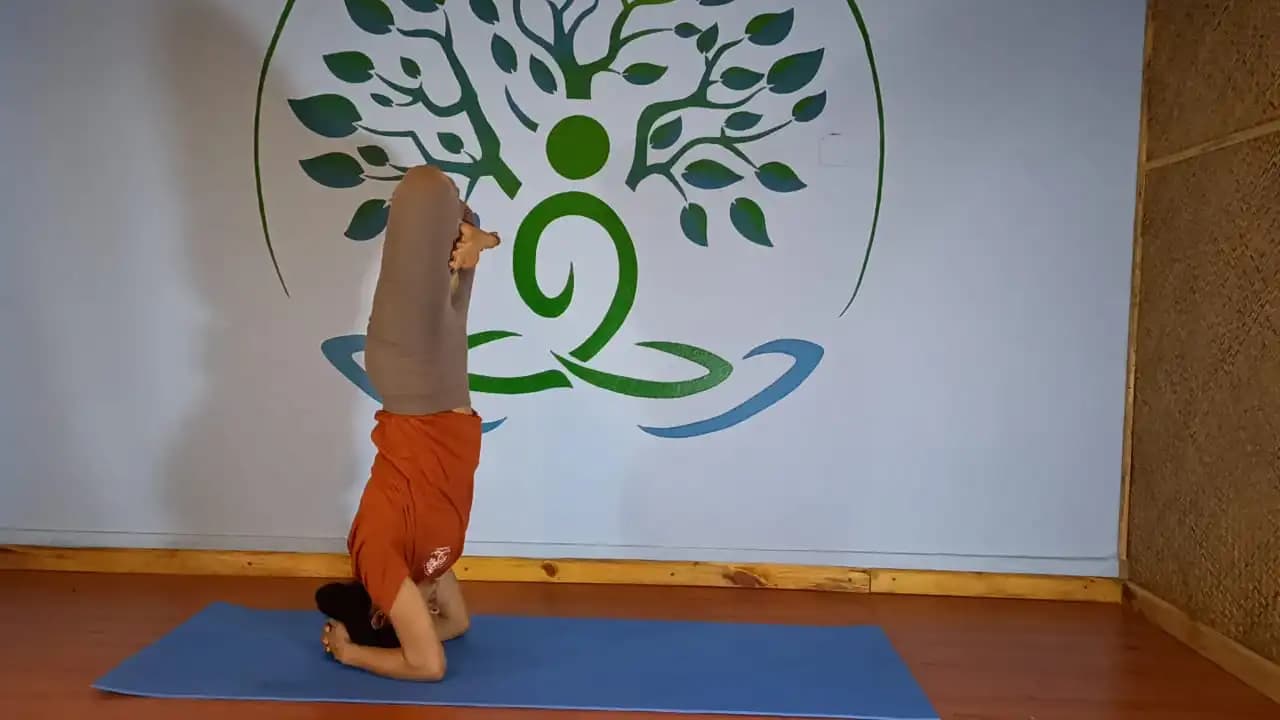Yoga posture 12 — Bodhidham