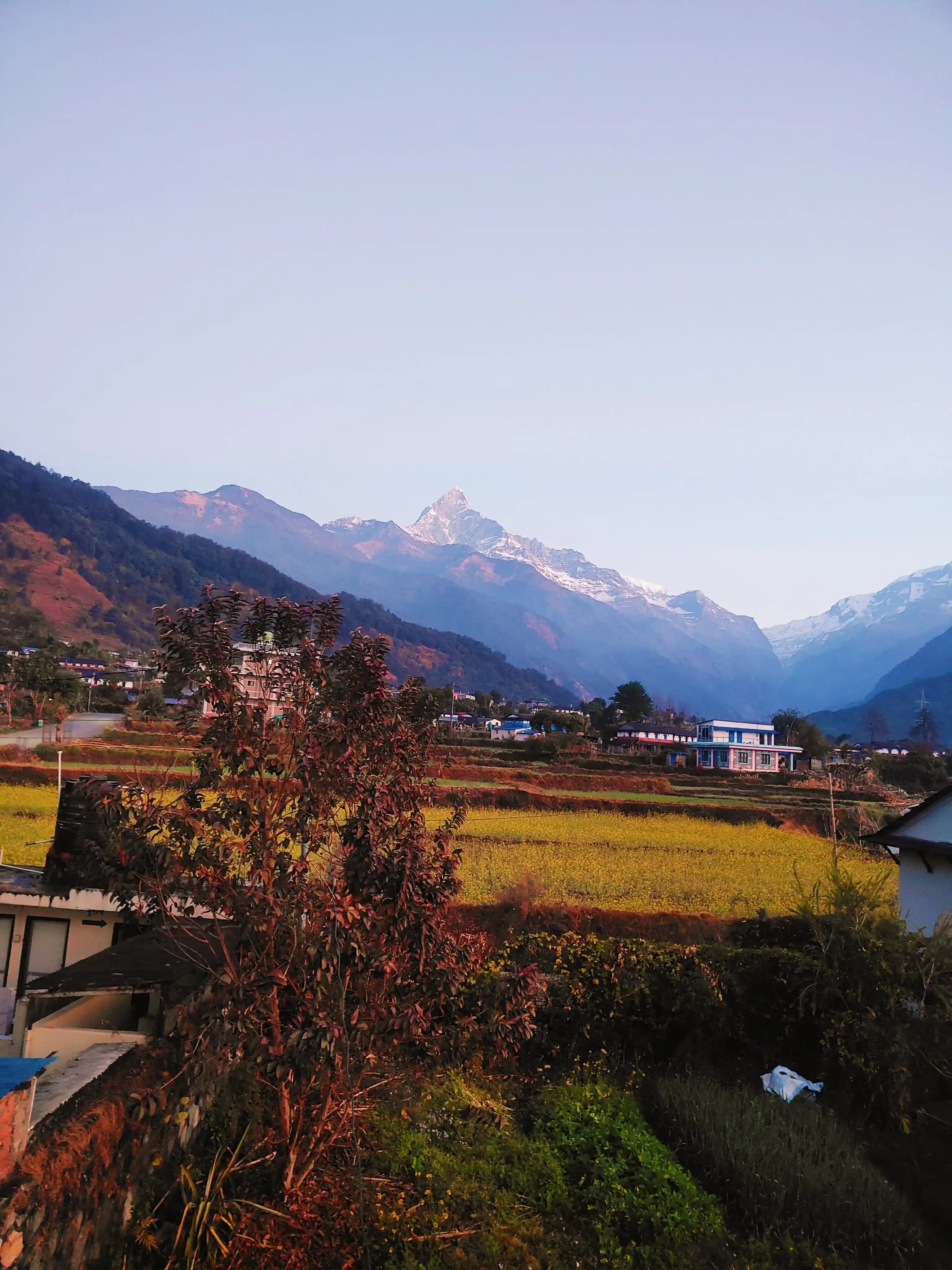 Ashram premises and Accommodation