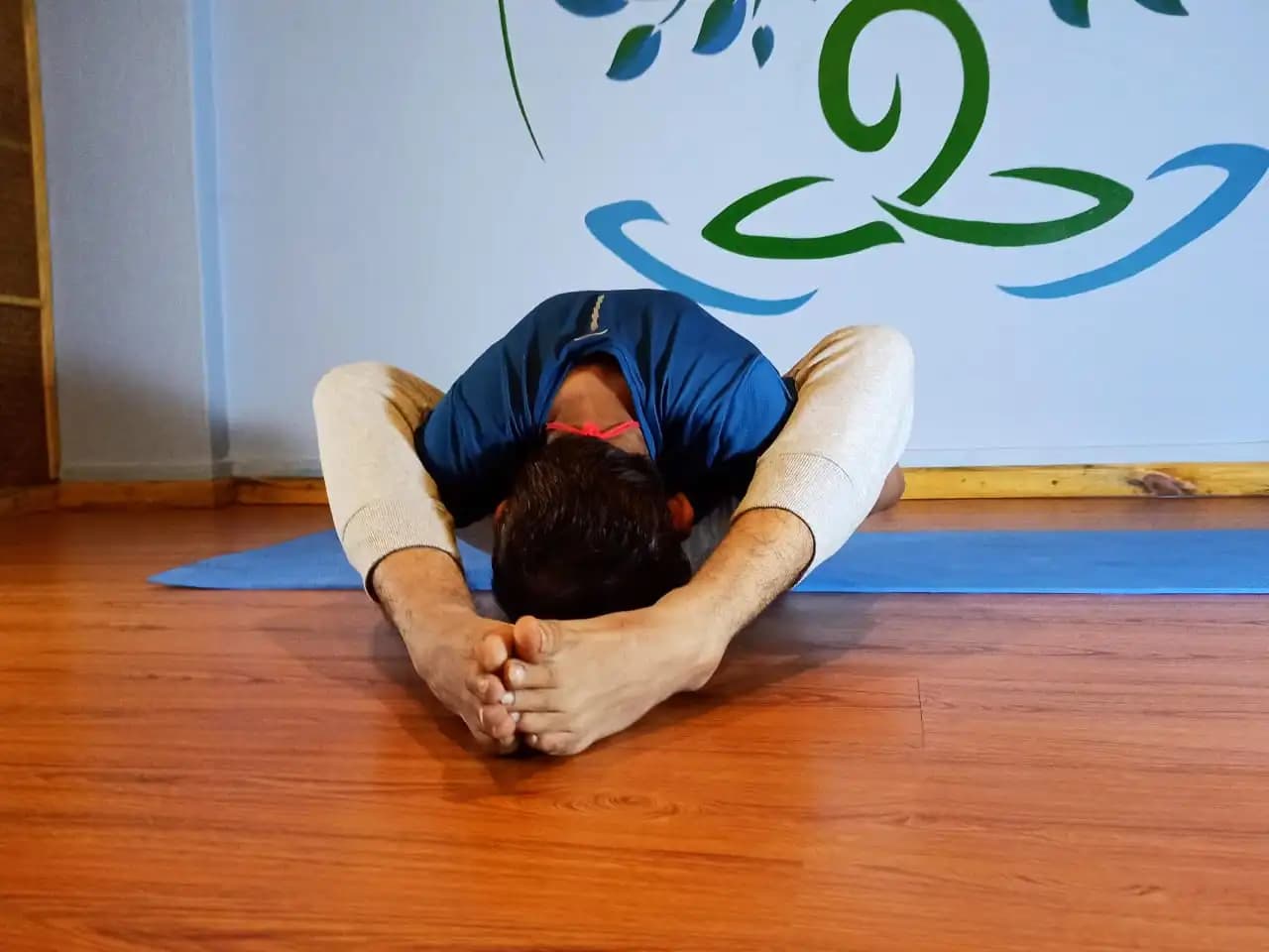 From Head to Toe: The Comprehensive Physical Benefits of Yoga